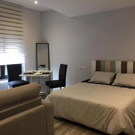 Lejlighed Estudio Gvsm León