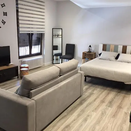 Estudio Gvsm 公寓 莱昂